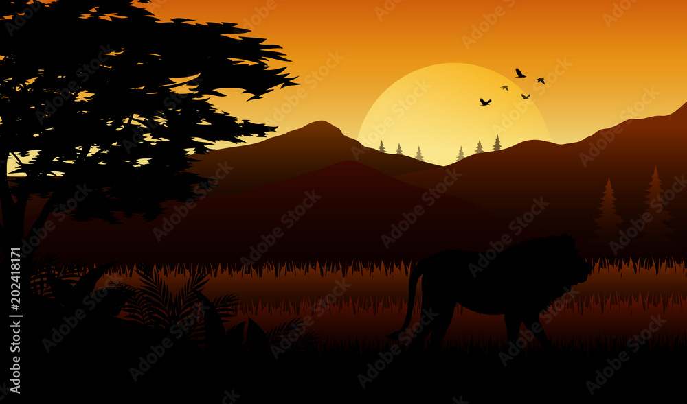 Silhouette  of lion at savanah 
