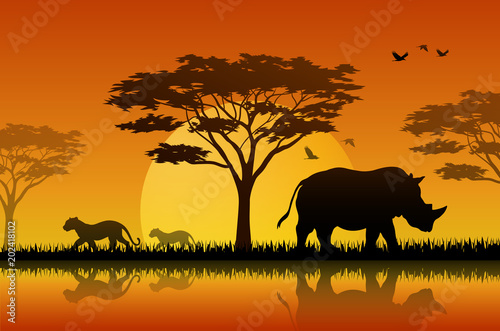 Silhouette  of rhino at lake in savanah
