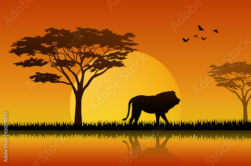 Fototapeta Naklejka Na Ścianę i Meble -  Silhouette  of lion at lake in savanah