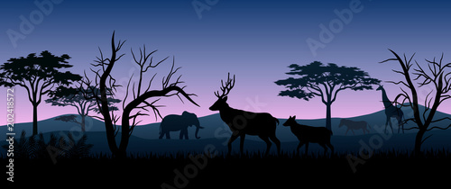 Silhouette animals savannas in the night