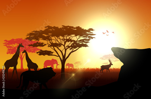 Silhouette animals on savannas in the afternoon