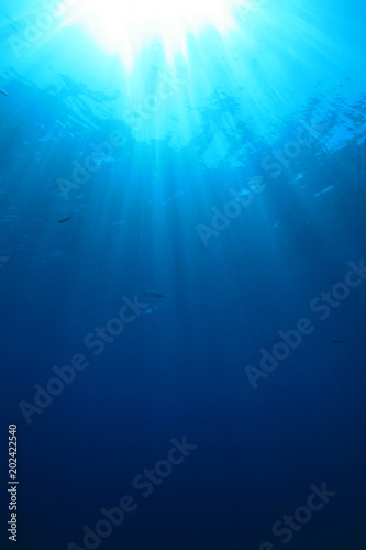 Wallpaper Mural Underwater background. Blue ocean and sunbeams   Torontodigital.ca