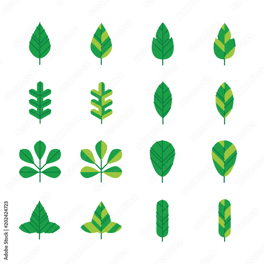 leaf icons set. vector illustration.