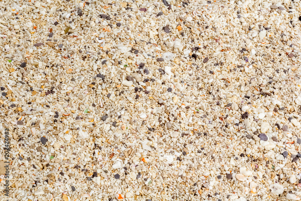 sable de plage sable de plage
