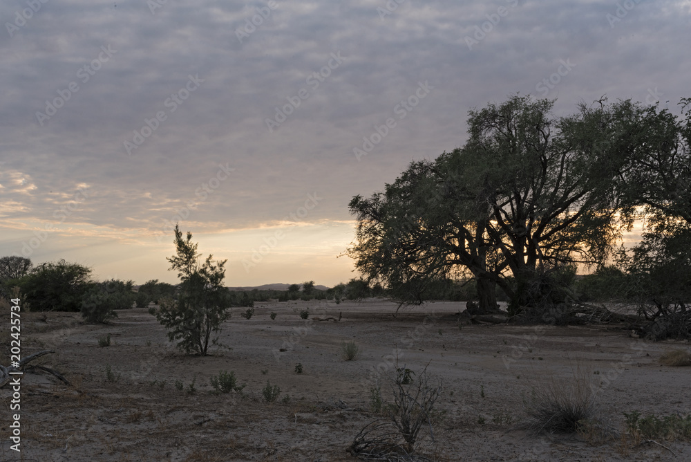sunrise over the dry swakop river in Namibia