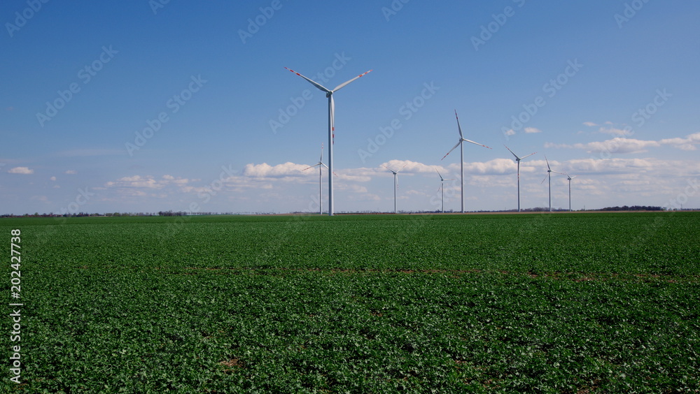 Turbiny wiatrowe na zielonym, obsianym polu - piękne polskie krajobrazy