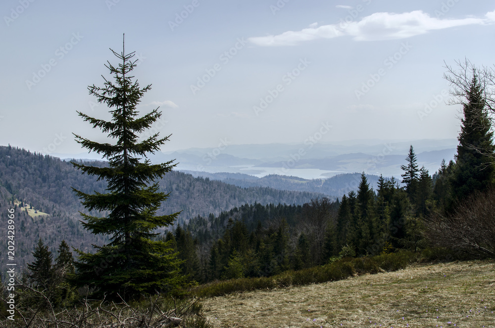 Obraz premium panorama Beskidu i Tatr 