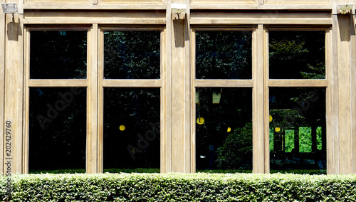 wooden window architecture with green bush plant