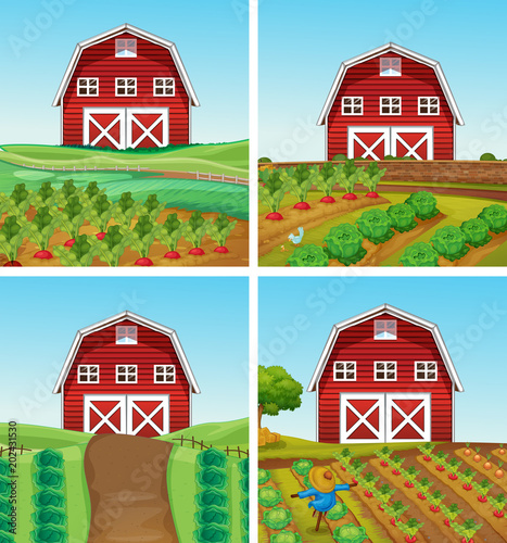 Rural Farm and Barn Landscape