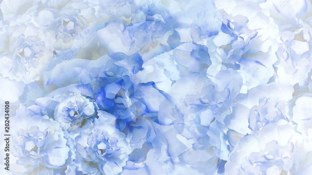 Floral blue-white background. Blue-white flowers peonies. Floral collage.  Flower composition. Nature. Stock Photo | Adobe Stock