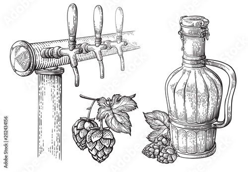 beer tap hops and bottle collection vector illustration
