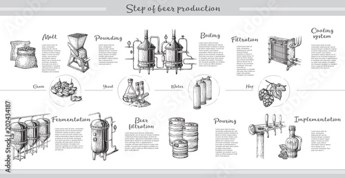 Vector beer infographics with illustrations of brewery process. Ale producing design. Hand sketched lager production scheme. photo