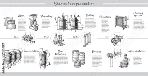 Vector beer infographics with illustrations of brewery process. Ale producing design. Hand sketched lager production scheme.