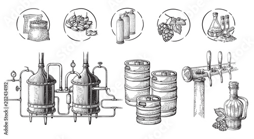 Vector beer infographics with illustrations of brewery process. Ale producing design. Hand sketched lager production scheme.