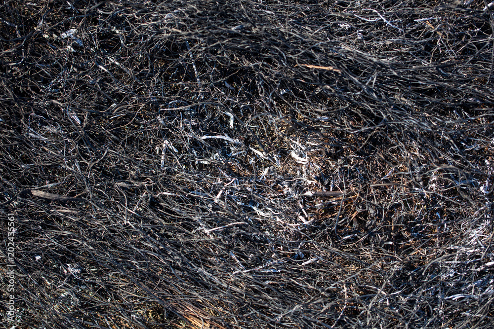 Black burned grass on the ground as an abstract background Black burned grass on the ground as an abstract background