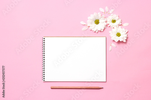 floral composition on a pastel background with space for text. minimalism, blank for design, top view. Birthday, Mother's Day, Holiday, Spring, March 8. flat lay 