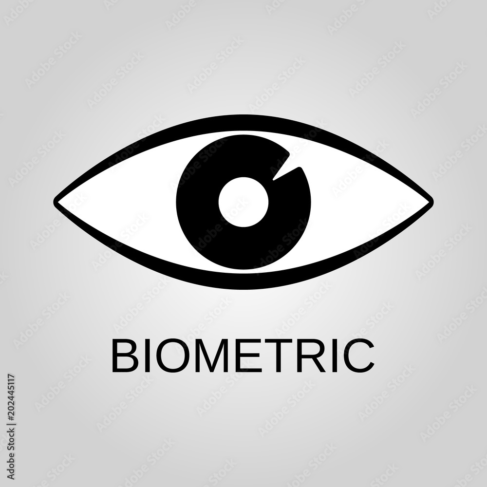 Biometric icon. Biometric symbol. Flat design. Stock - Vector illustration Biometric icon. Biometric symbol. Flat design. Stock - Vector illustration