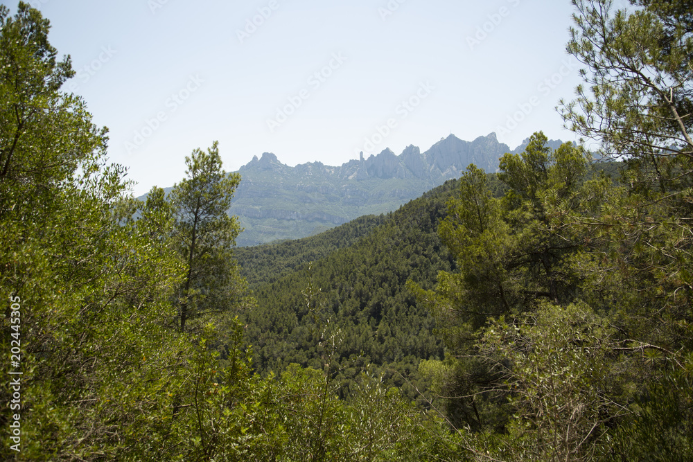 montserrat