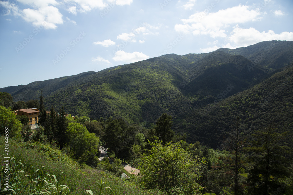 Fototapeta premium montseny