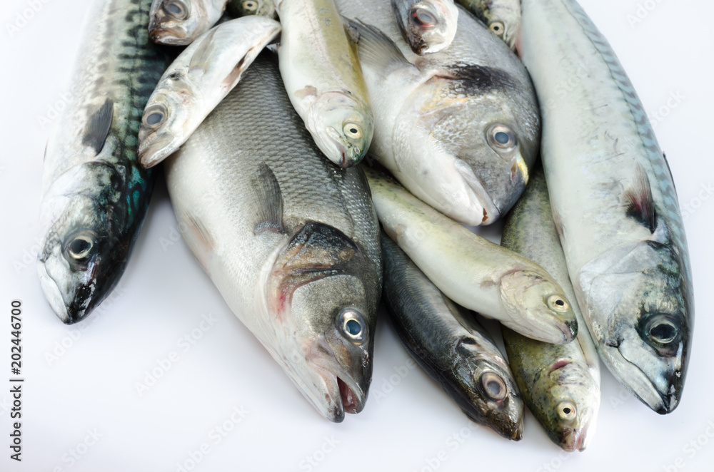 Obraz premium Freckled fish varied on white background.