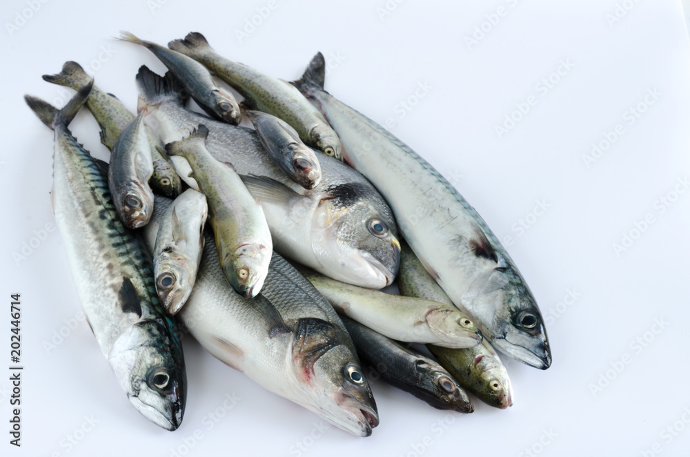 Freckled fish varied on white background. Freckled fish varied on white background.