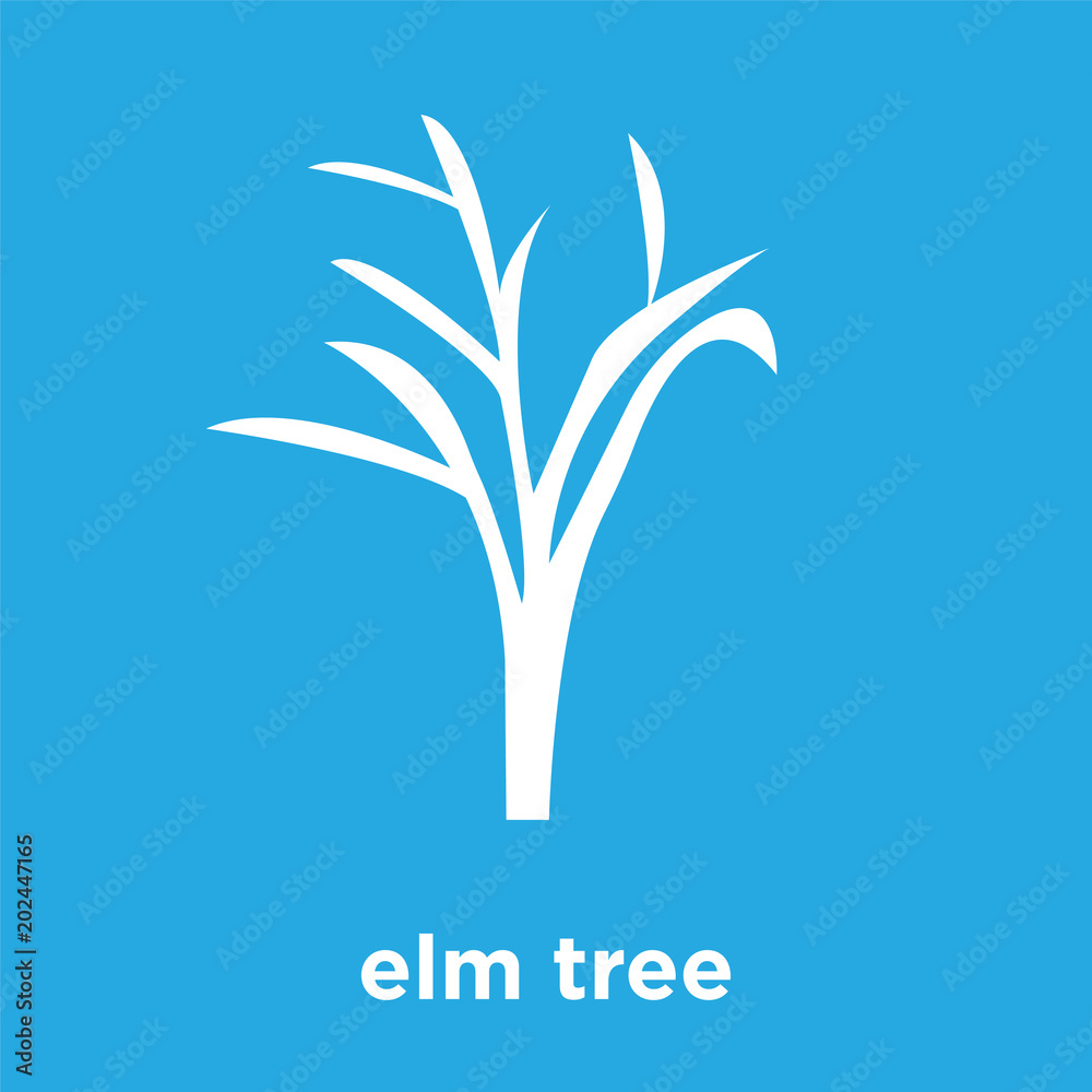 elm tree icon isolated on blue background