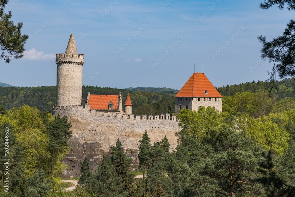 Fototapeta premium The Kokorin Castle