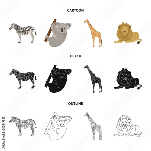 African zebra, animal koala, giraffe, wild predator, lion. Wild animals set collection icons in cartoon,black,outline style vector symbol stock illustration web. photo