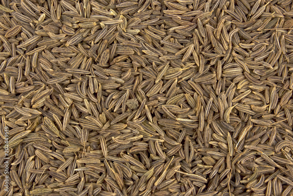Cumin seeds texture, full frame background