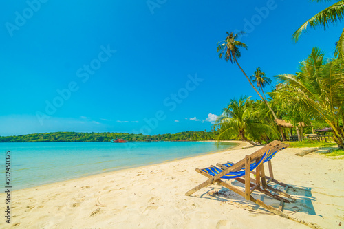 Fototapeta Naklejka Na Ścianę i Meble -  Beautiful tropical beach and sea with coconut palm tree in paradise island