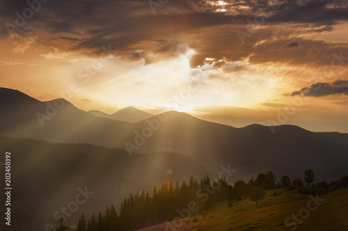 Morning in the mountains. Silhouettes of mountains, high trees in the sun. Beautiful mountain landscape. 