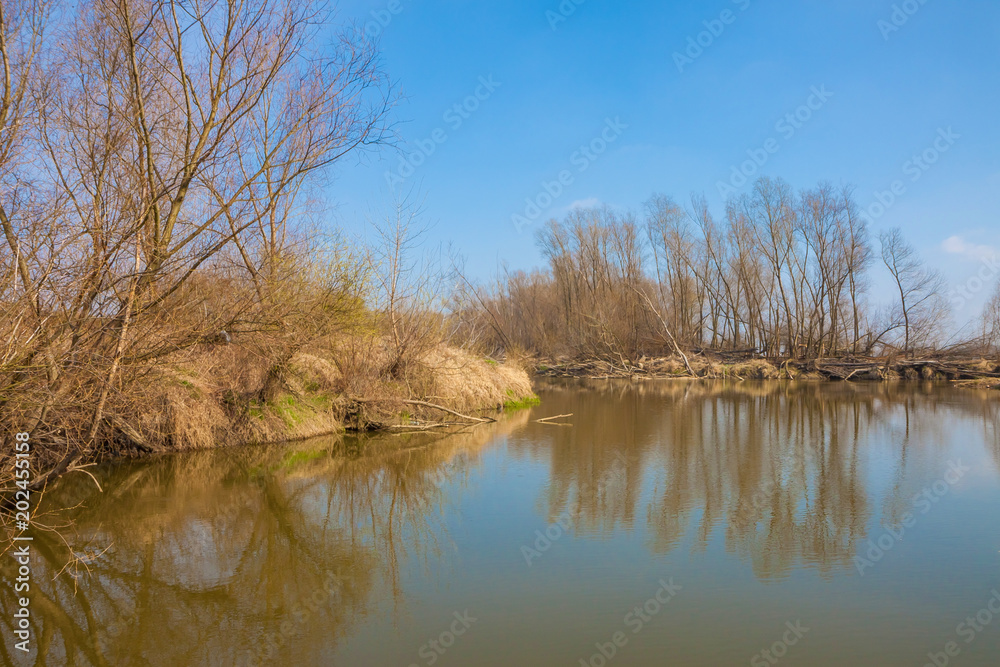 Countryside in Poland. Summer landscape.