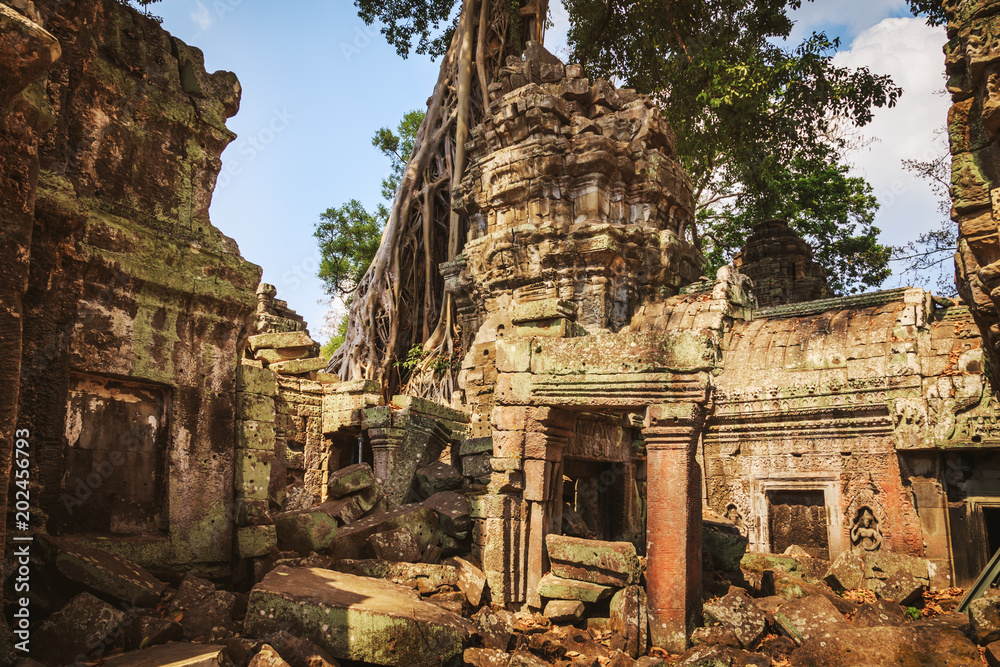 Ta Prohm temple - a symbiosis of roots and stones.