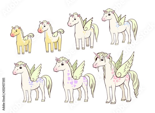 Unicorns of different ages  vector