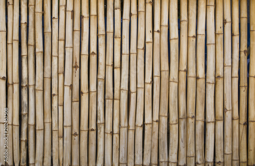 Canisse ou brise vue en bambou  cl  ture ou palissade en bois naturel.