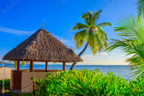 Sea view of a hut between palm trees and plants