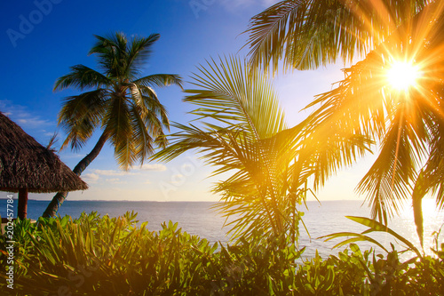 Sea view with sunbeams palms and plants