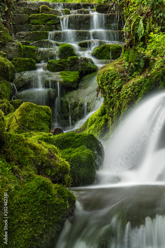 Badger Falls between Upper and lower pools along Badger Dingle.