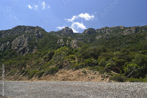 Spiaggia di Coccorrocci photo