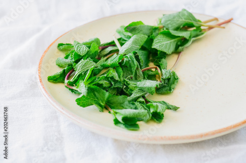 Bunch of fresh leaves of mint in a plate. White background. Rustic style.