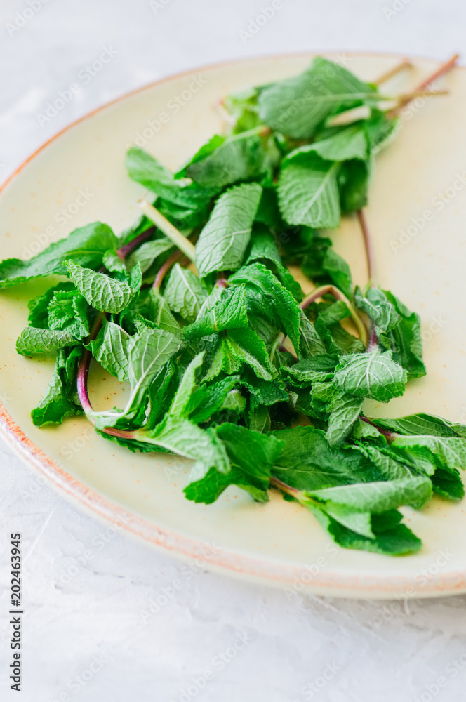 Bunch of fresh leaves of mint in a plate. White background. Rustic style. Bunch of fresh leaves of mint in a plate. White background. Rustic style.