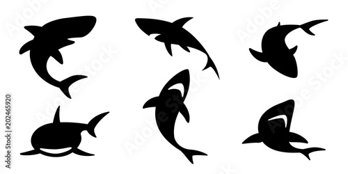 shark vector icon logo dolphin whale ocean wave illustration character cartoon graphic