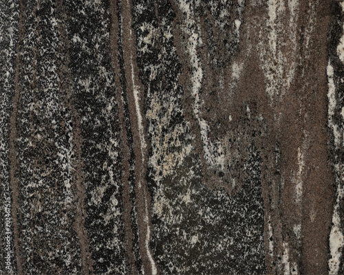 Garnet amphibolite. Texture. photo