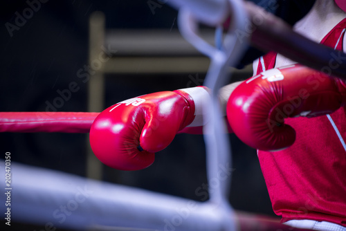 Boxer in the ring