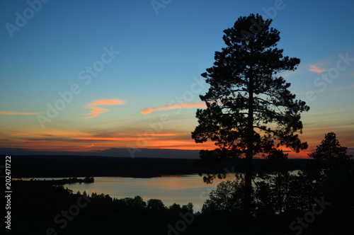 Lone Tree on Hill overlooking lake at sunset