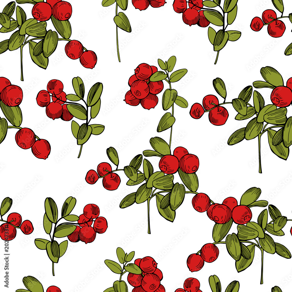 Vector seamless pattern with hand drawn forest berry. Lingonberry. Cowberry Vector seamless pattern with hand drawn forest berry. Lingonberry. Cowberry