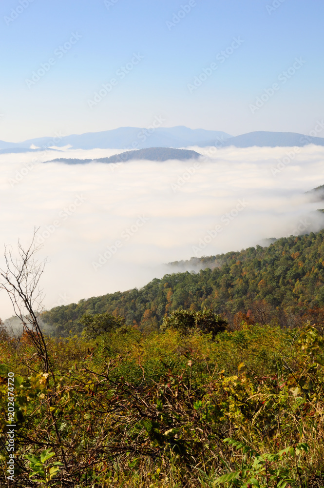 View of Shenandoah Valley covered in fog from Skyline Drive