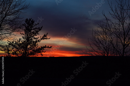 Sunset in mountains  Tree silhouette with scenic sunset sun over colorful sky background