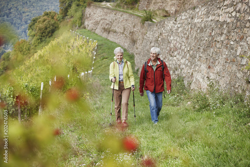 Germany, Rheingau, happy senior couple hiking together photo