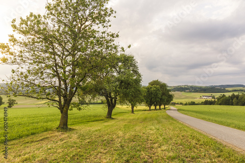 Austria, Upper Austria, Klam, empty road at evening twilight photo